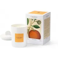 Pure Living Theorie Botanique Candle 50 hours - HONEY ORANGE