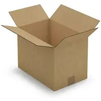 RAJA Carton d'emballage 25 x 15 x 14 cm - Simple cannelure