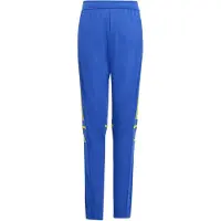 Adidas Pantalon de sport 'Squadra 25' bleu / citron vert