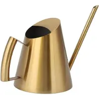 OEM Arrosoir métallique avec long tuyau pour plantes d'intérieur (900 ml)