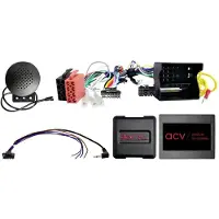 ACV Adaptateur de télécommande au volant pour véhicules BMW/Mini 40Pin Multilead Quadlock CAN/PDC