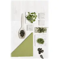 Duni Servietter (50 pcs, 40 x 40 cm)