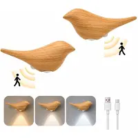 Rosikey 2 lampes murales LED modernes avec détecteur de mouvement, éclairage de nuit, batterie intégrée, pour intérieur, avec télécommande, éclairage mural pour salon, chambre, couloir
