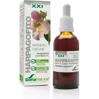 Sidroga Gesellschaft für Gesundheitsprodukte mbH Harpagophytum Procumbens Xxi Extr. Fl. 50 ml Solution(S)