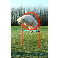 Trixie Anneau d'agilité, jouet d'obstacle pour chiens, plastique, 65cm, bleu avec orange
