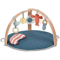 Ingenuity Cozy Spot - Tapis d'éveil réversible Haven