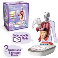 Canal Toys Human Body Voicepedia Rose Enfants