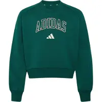 Adidas Sweat de sport 'Seasonals Collegiate Typography V-neck Junior' vert / blanc
