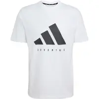 Adidas Juventus Turin Dna Graphic Short Sleeve T-shirt Blanc L Homme