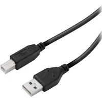 Vivanco VIVancoCâble USB Type A vers USB Type B