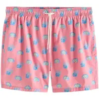 Next Shorts de bain bleu / bleu clair / vert clair / pitaya