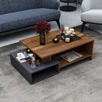 Homidea Dux : Table basse, table de salon, table d'appoint avec espace de rangement. Design moderne (anthracite - Briarsmoke)