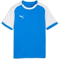 Puma T-Shirt fonctionnel 'Teamliga26 Matchday' bleu / blanc