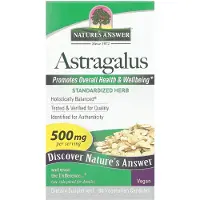 Natures Answer , Astragale, 500 mg, 60 Capsules Végétariennes