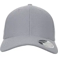 Flexfit Casquette 'Hybrid' gris