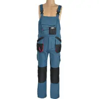 AWTOOLS Pantalon à bretelles Work T2/ Essence/ L (L)
