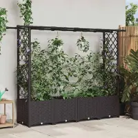 Prolenta Maison Exclusive - Jardinière surélevée avec treillis et toit, couleur marron, dimensions 203 x 40 x 136 cm, en polypropylène