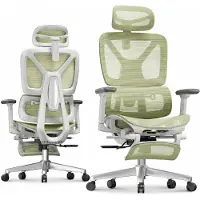FlexiSpot ErgoX : chaise de bureau ergonomique avec repose-pieds, accoudoirs 3D et appui-tête, dossier réglable en 5 dimensions, capacité de charge de 136 kg, couleur verte