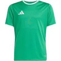 Adidas T-Shirt fonctionnel 'ENT26' vert / blanc