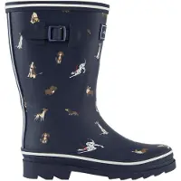 Regatta Amelia Boots Bleu EU 42 Femme