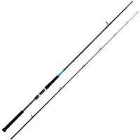 Shimano Fishing Bassterra Xt Shore Jigging Rod Argenté 2.89 m / 20-80 g
