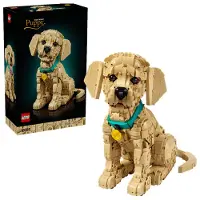 LEGO Icons Chiot Golden Retriever (11384)