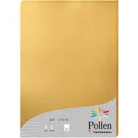 Pollen Clairefontaine Pollen - Or - A4 (210 x 297 mm) - 210 g/m² - 25 feuille(s) papier coloré
