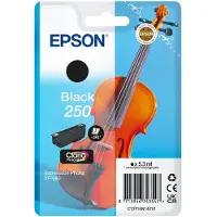 Epson 250 (C13T16N14010) - Noir - Cartouche d'encre