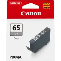 Canon CLI-65GY - Gris - Cartouche d'encre