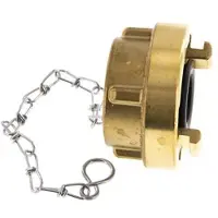 Tameson Capuchon en laiton 25-D (31 mm) pour coupleur Storz