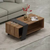 Homidea Table basse MELISA – Table de salon moderne avec surface de rangement, au design tendance 91,8 x 48,8 x 35 cm (Briarsmoke)