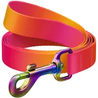 Waudog Laisse pour chien Gradient Nylon, longueur 122 cm, orange