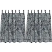 vidaXL Rideaux en velours avec tringles 2 pièces Argent Gris 140 x 140 cm Velours