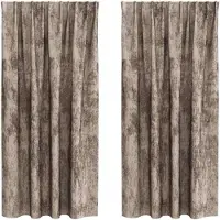 vidaXL Rideaux de velours avec rideaux 2 pcs Cappuccino 175 x 140 cm velours