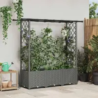 Prolenta Maison Exclusive - Jardinière surélevée avec treillis et toit, couleur gris clair, dimensions : 162,5 x 40 x 136 cm