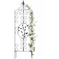 Relaxdays Tuteur pour plantes grimpantes (116 cm, 35 cm)