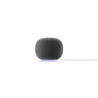 Google HOME SPEAKER HAZEL EU