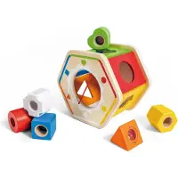 Hape Wooden Wonder Shape Sorter Multicolore Enfants