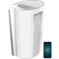 Cecotec Déshumidificateur BigDry 9000 Professional Connected. 20 L par jour, 4,5 L de capacité, Wi-Fi, jusqu’à 250 m³/h