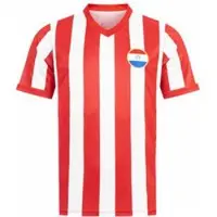 JELEX Paraguay "Retro History" Hommes Maillot