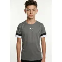 Puma Teamrise Maillot à Manches Courtes Enfants - Gris