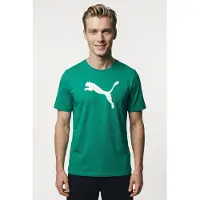 Puma T-Shirt fonctionnel 'TeamRise' vert / blanc