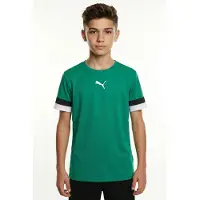 Puma Teamrise Maillot à Manches Courtes Enfants - Vert