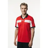 Puma T-Shirt fonctionnel 'TeamClassic' rouge / noir / blanc