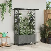Prolenta Maison Exclusive - Jardinière surélevée avec treillis et toit, couleur gris clair, dimensions : 124,5 x 40 x 142 cm