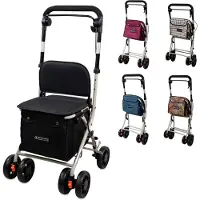 Mobiclinic Déambulateur avec panier Chariot de courses avec siège Sac à provisions pliable 21 L 4 roues Acier Coliseo