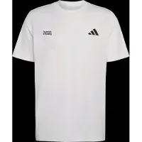 Adidas T-shirt Run Essentials Graphic