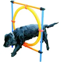 Pawise Agility Ring 55 Cm Vert