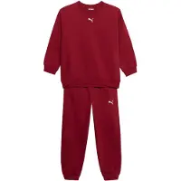 Puma Survêtement merlot / blanc