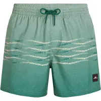 O'Neill First 15´´ Swimming Shorts Vert 2XL Homme